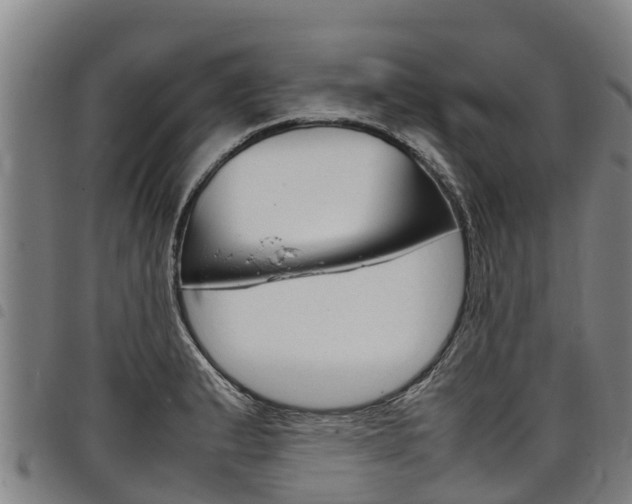 X0000098121183200804040817