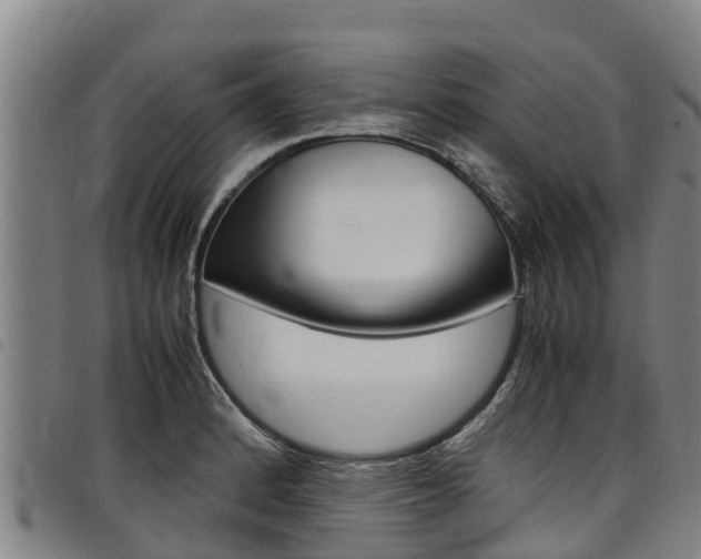 X0000098121184200804040817