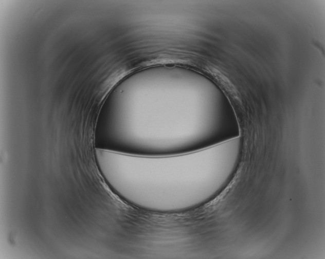 X0000098121185200804040817
