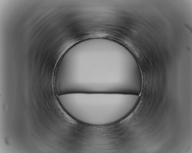 X0000098121186200804040817