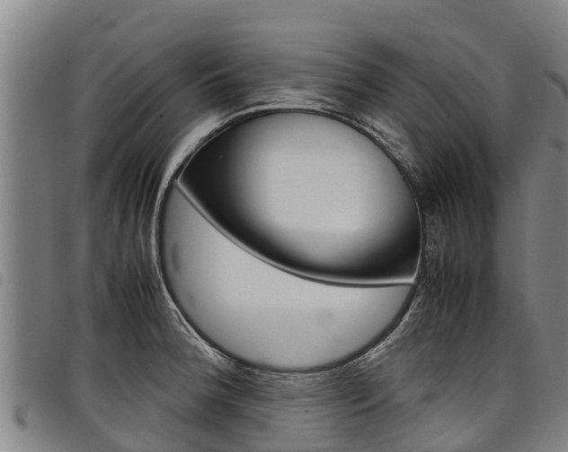 X0000098121188200804040817