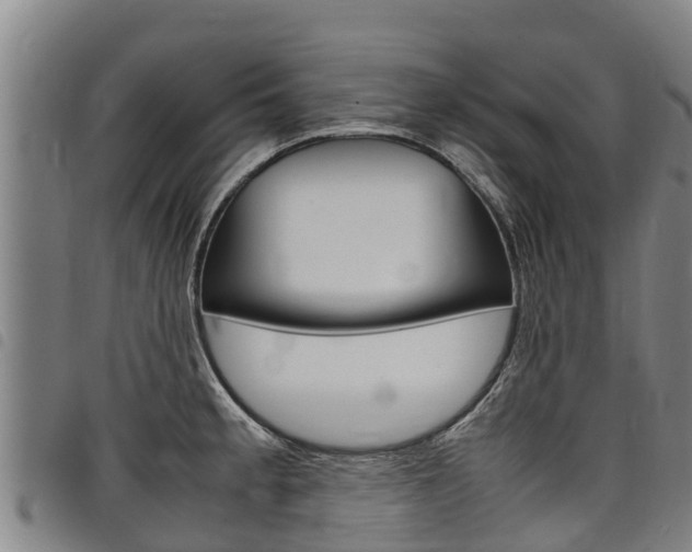 X0000098121189200804040817
