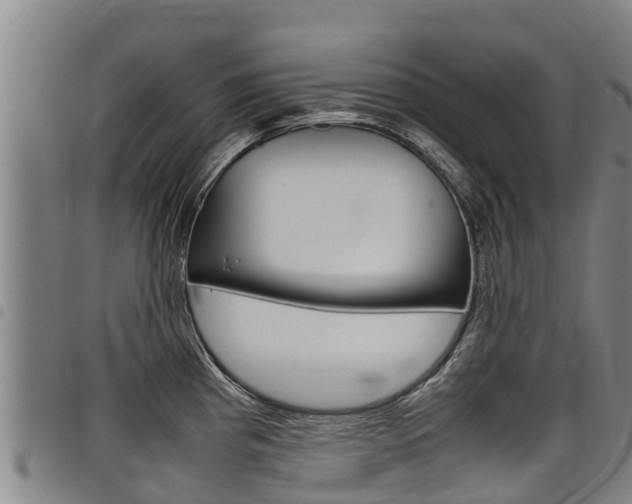 X0000098121193200804040817