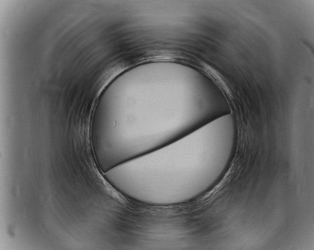 X0000098121194200804040817