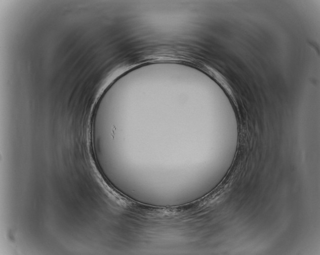 X0000098121195200804040817