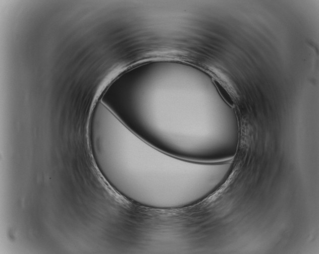 X0000098121196200804040817