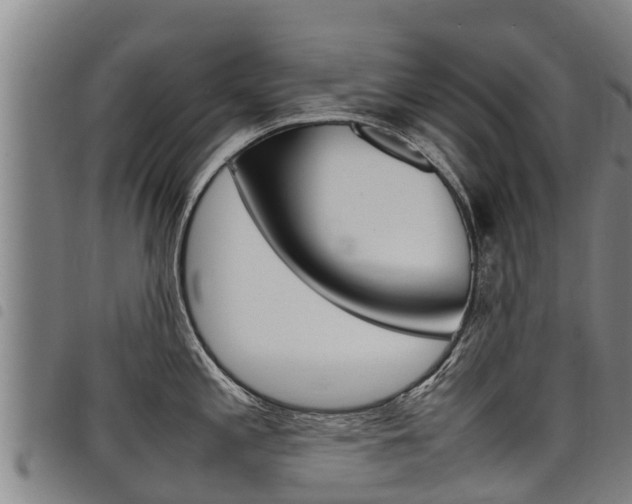 X0000098121197200804040817