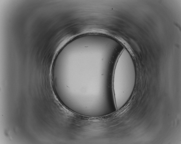 X0000098121199200804040816