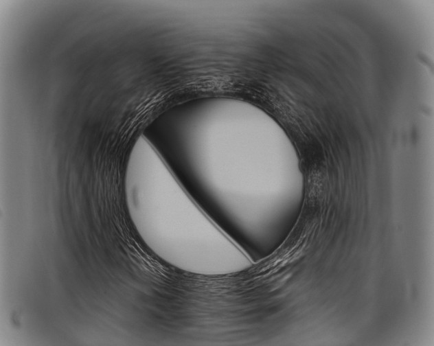 X0000098121202200804040816