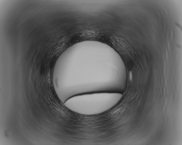 X0000098121203200804040816