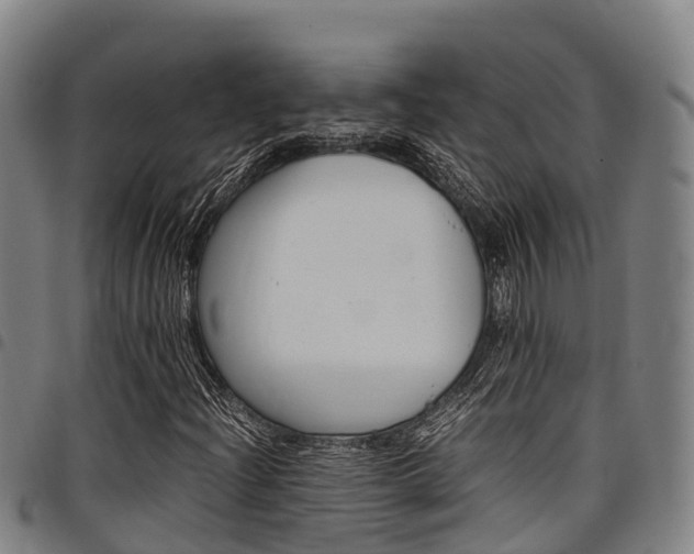 X0000098121204200804040816