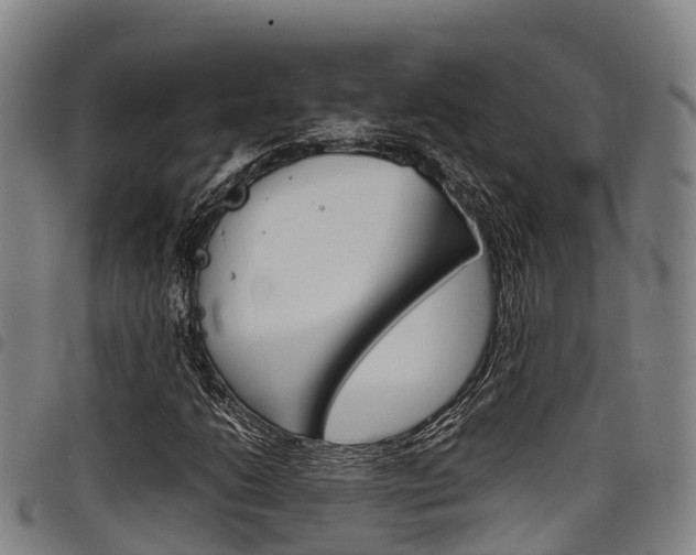 X0000098121206200804040816