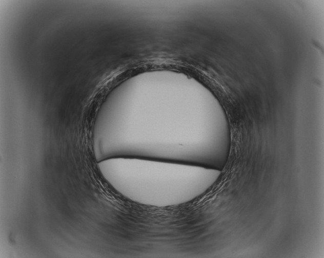 X0000098121207200804040816