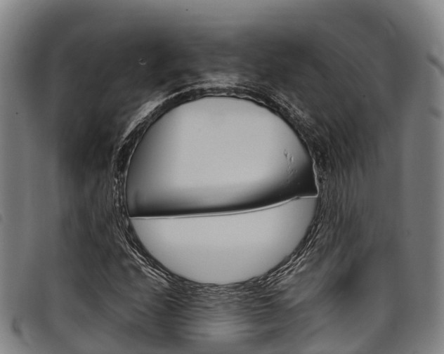 X0000098121208200804040816