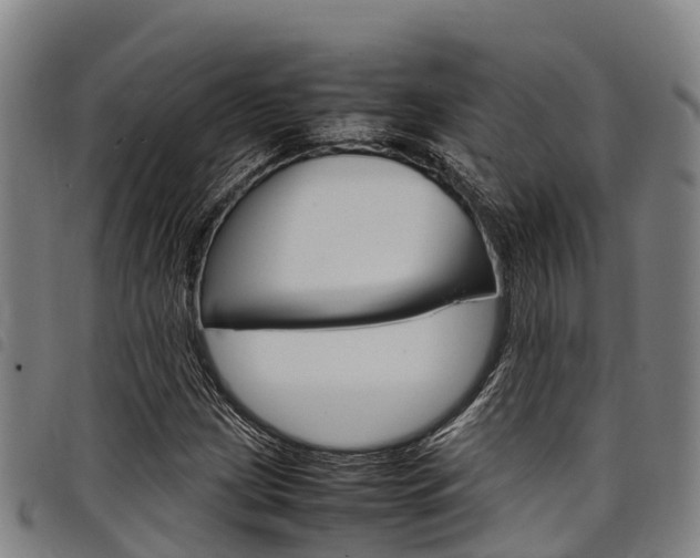 X0000098121209200804040816