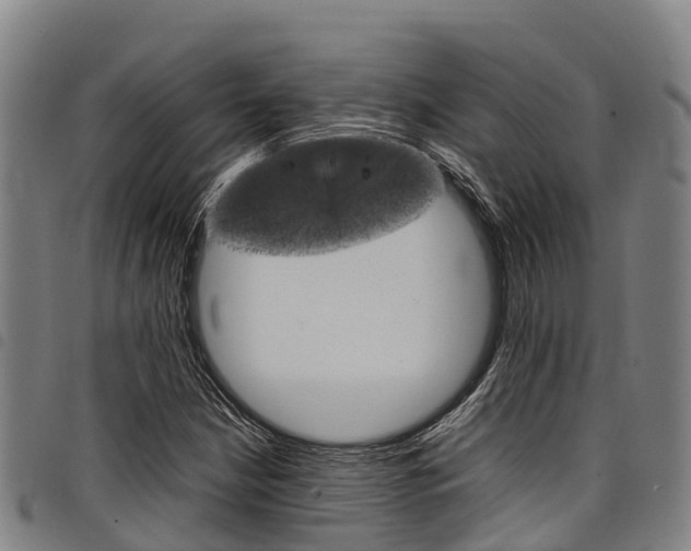 X0000098121210200804040816