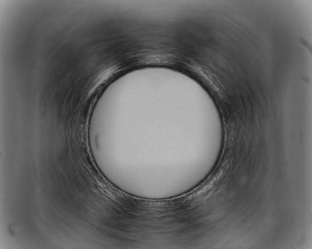 X0000098121211200804040816