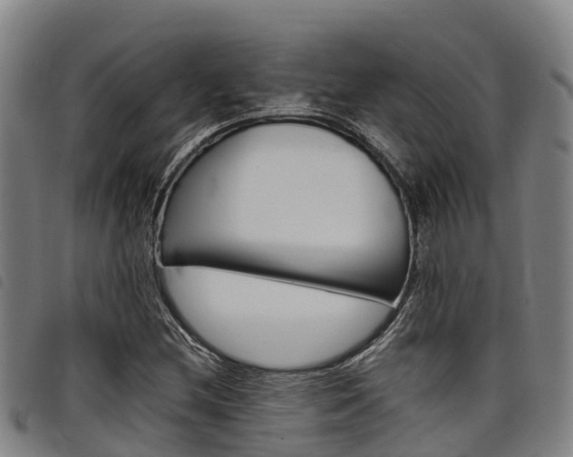 X0000098121212200804040816