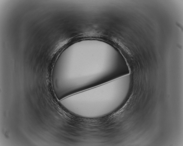 X0000098121213200804040816
