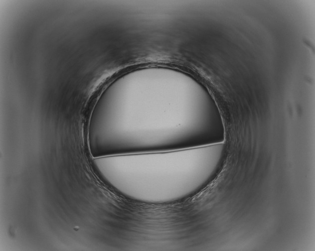 X0000098121214200804040816