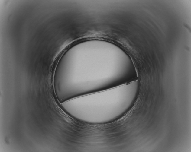 X0000098121216200804040816