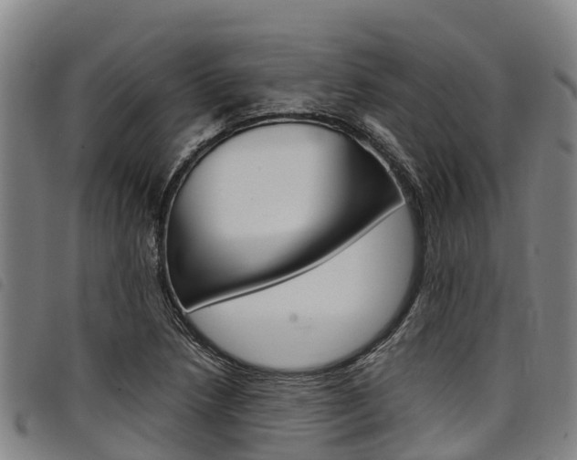 X0000098121218200804040816