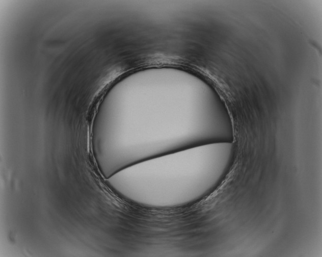 X0000098121219200804040816