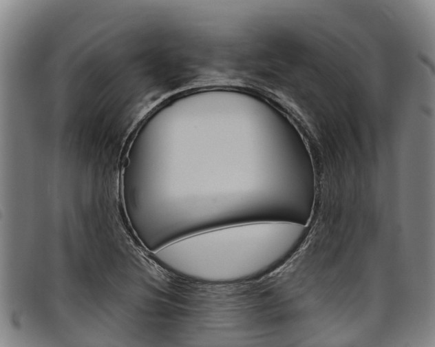 X0000098121220200804040816