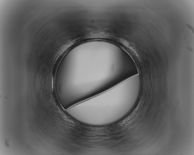 X0000098121221200804040816