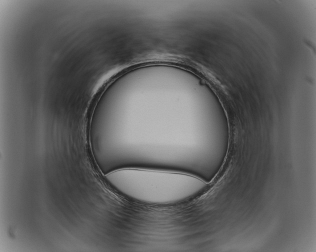 X0000098121222200804040816