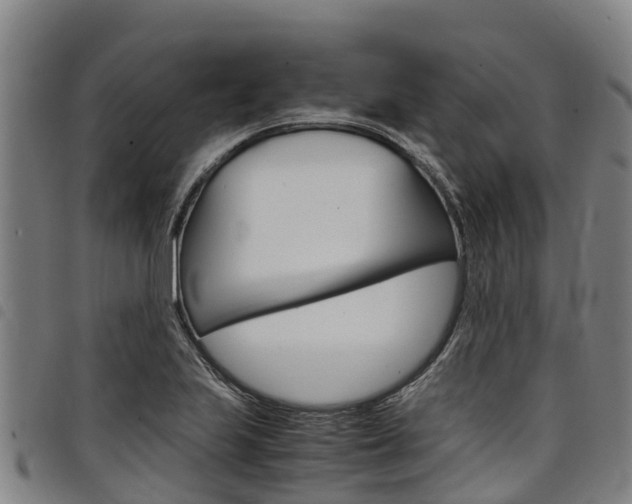X0000098121223200804040816