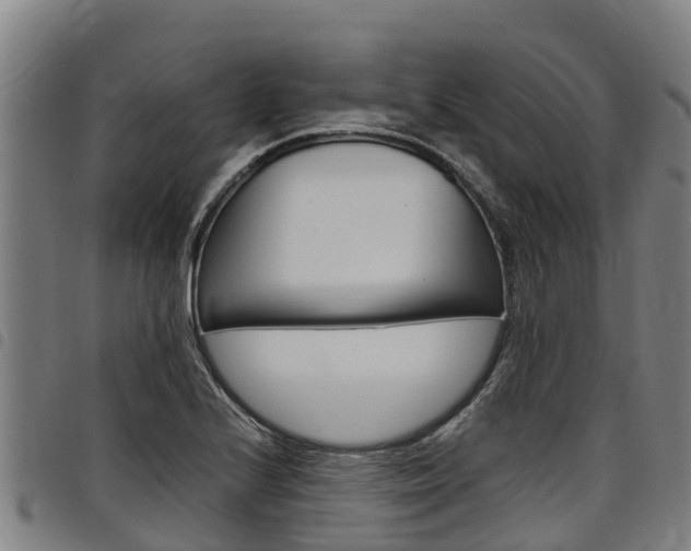 X0000098121224200804040816