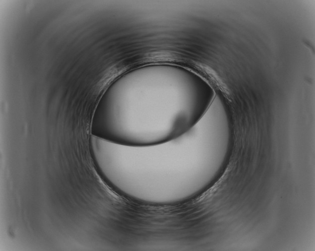 X0000098121225200804040816