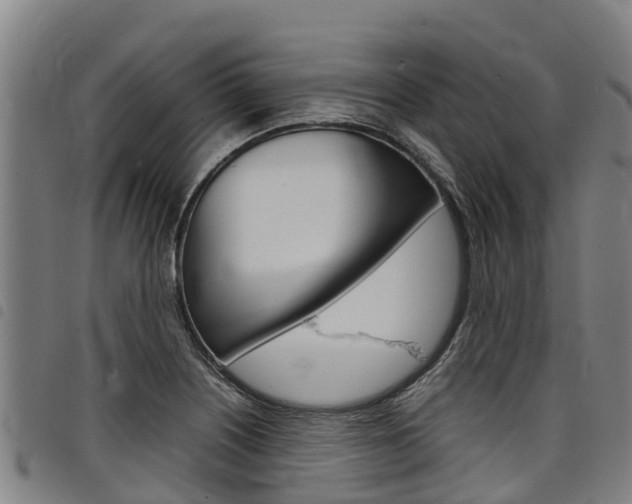 X0000098121226200804040816