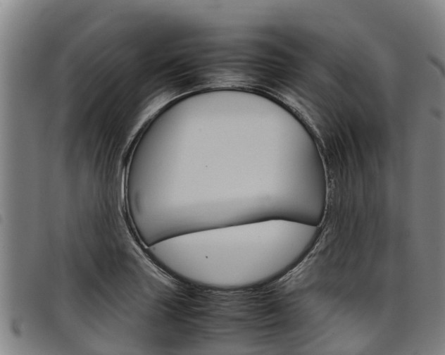 X0000098121227200804040816