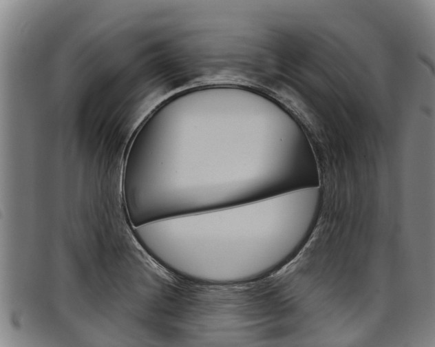X0000098121228200804040816