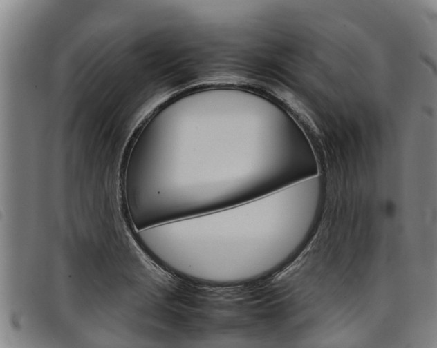 X0000098121229200804040816