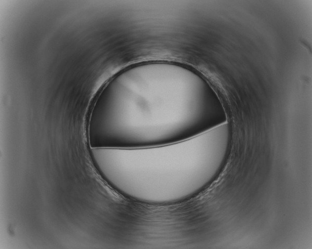 X0000098121230200804040816