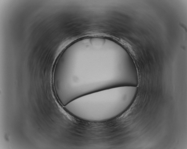 X0000098121231200804040816