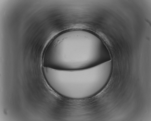 X0000098121232200804040816