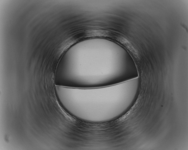 X0000098121233200804040816