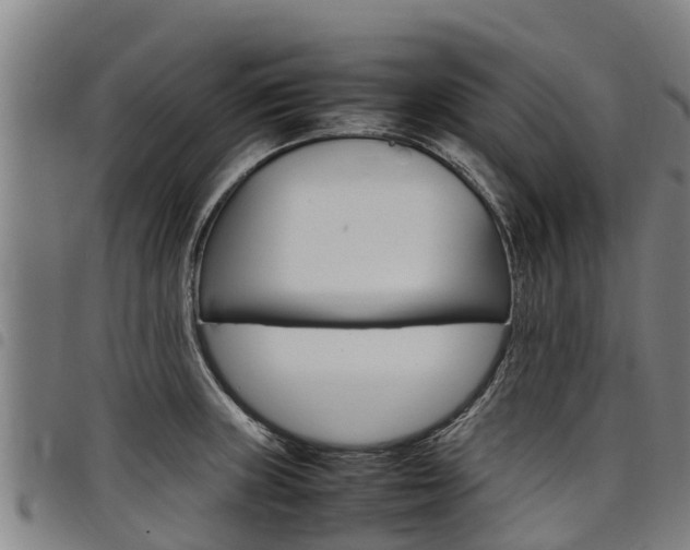 X0000098121235200804040816