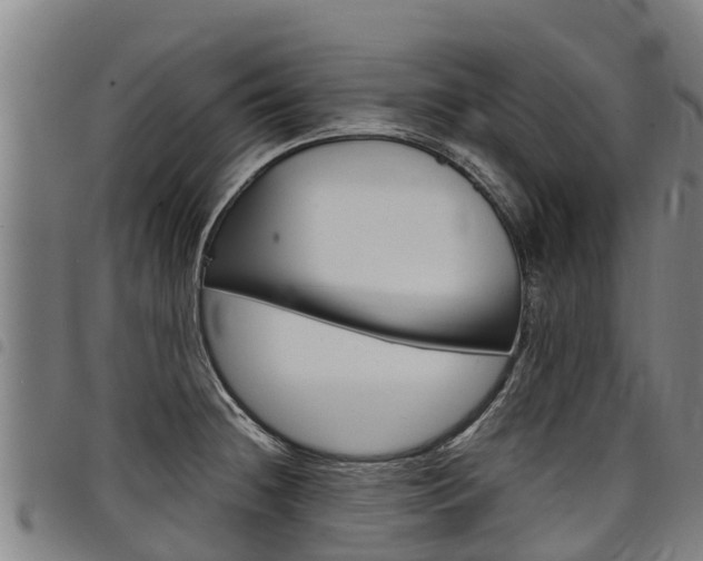X0000098121236200804040816