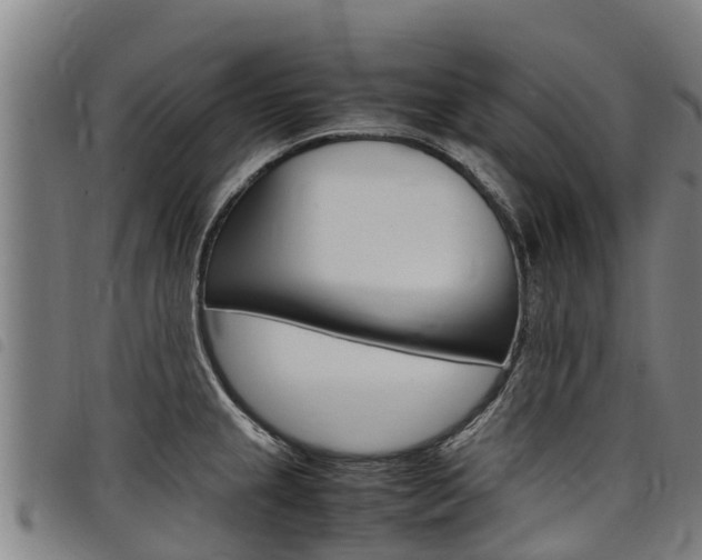 X0000098121237200804040816