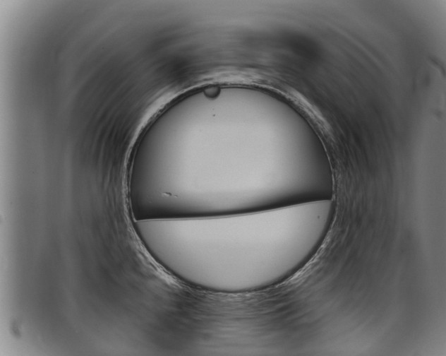 X0000098121240200804040816