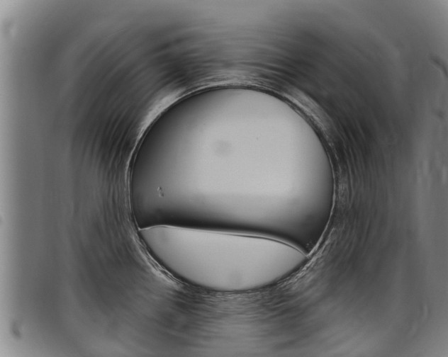 X0000098121242200804040816