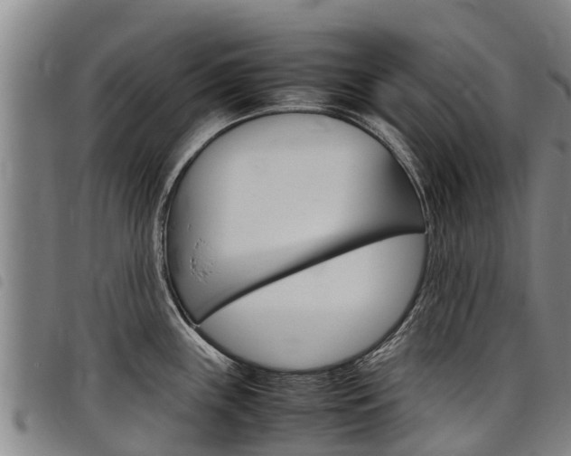 X0000098121243200804040816