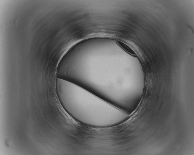 X0000098121244200804040816