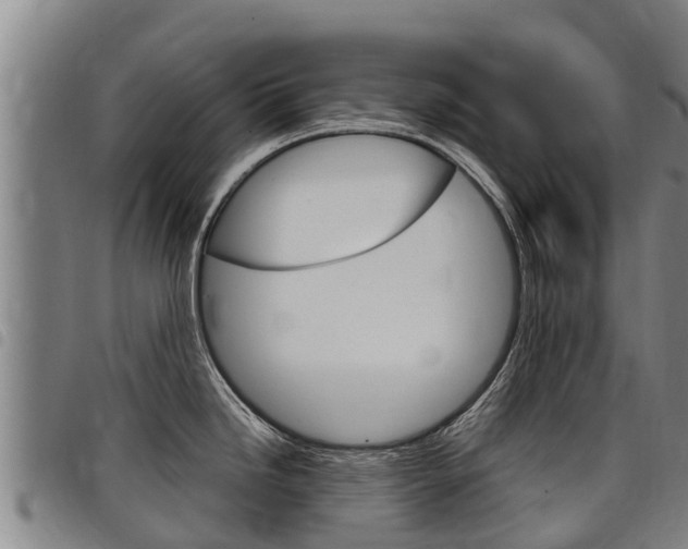 X0000098121246200804040816
