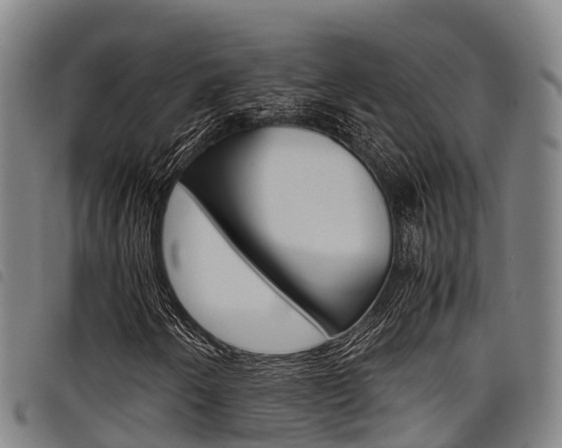 X0000098121250200804040816